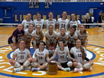 Image for Lady Tigers win both county volleyball titles
