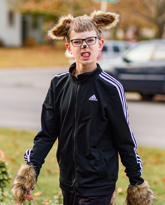 Image for Trick-or-Treat