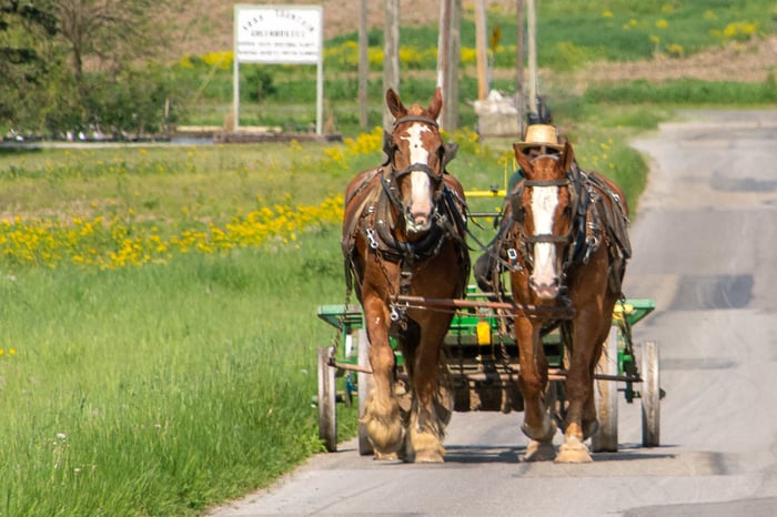 Image for Watch for Horse Drawn Vehicles on Wayne County's Back Roads