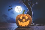 Image for Trick or treat schedule