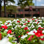 Image for IU East’s celebrates campus connections recognized by Wayne County Area Chamber of Commerce for serv...