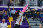 Image for Falcons fight off Tigers to capture sectional title 