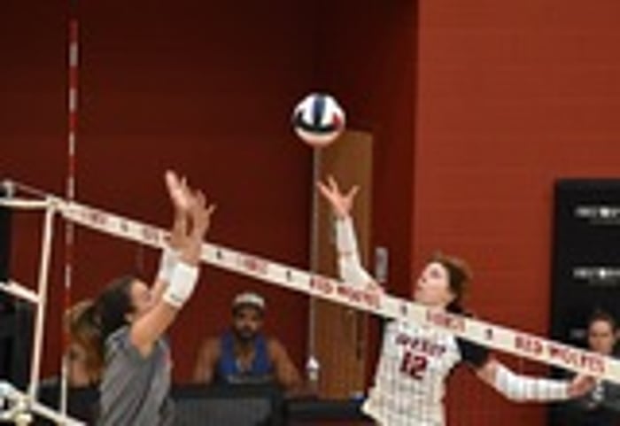 Image for Red Wolves Spilt On Final Day at Onset Invitational