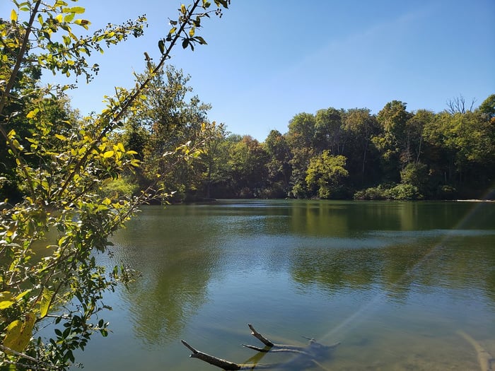 Image for Fall afternoons
