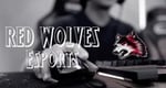 Image for Esports Set to Begin Postseason Play