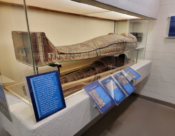 Image for Joseph Moore Museum