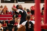 Image for Red Wolves Fall to IU Kokomo