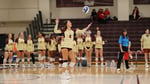 Image for Volleyball falls in five at Manchester