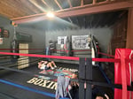 Image for Punch it forward