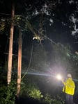 Image for Crews working in Oak Park replacing a broken pole. 
