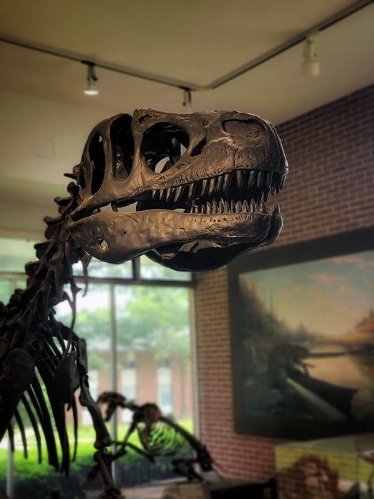 Image for Prehistoric Fun