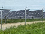 Image for Richmond's solar parks can power 5,000 local homes