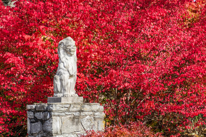 Image for Driveway Guardian
