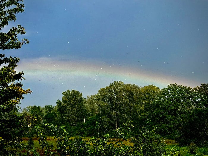 Image for Rainbow Sparkles