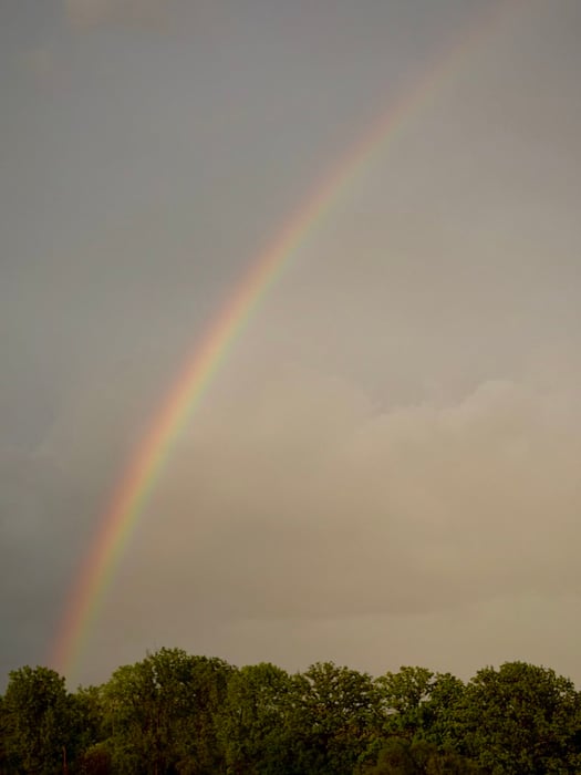 Image for In The Sky