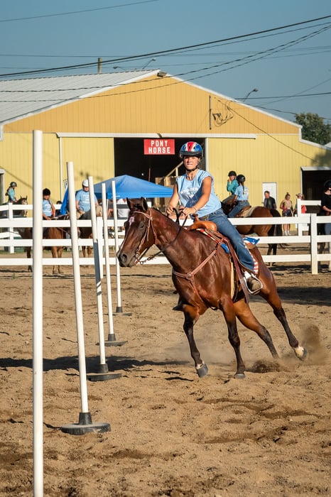 Image for Wayne County 4-H Fair 2022