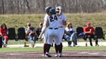 Image for Softball sweeps Olivet on Saturday