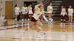 Image for Volleyball sweeps OWU on the road