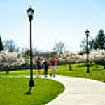 Image for Terri Logan Guides IU Students Through the Business of a Thriving Art Career