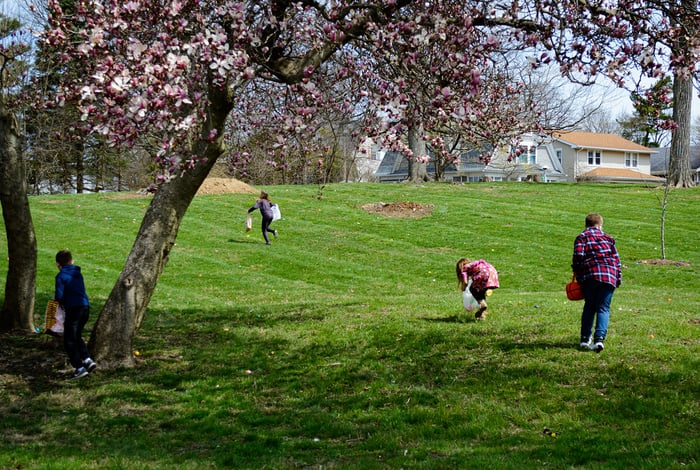 Image for Easter Egg Hunt