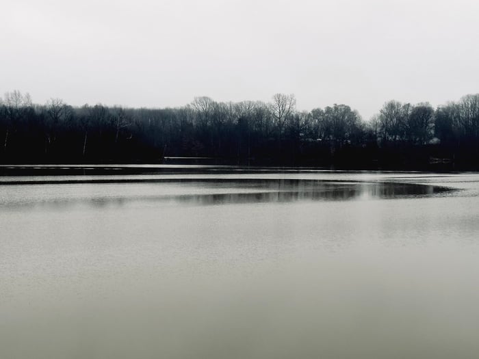 Image for Middlefork Gray