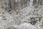 Image for Richmond basketball game, COVID-19 testing affected by winter storm