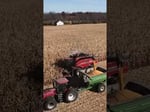 Image for Fall harvest in Wayne County