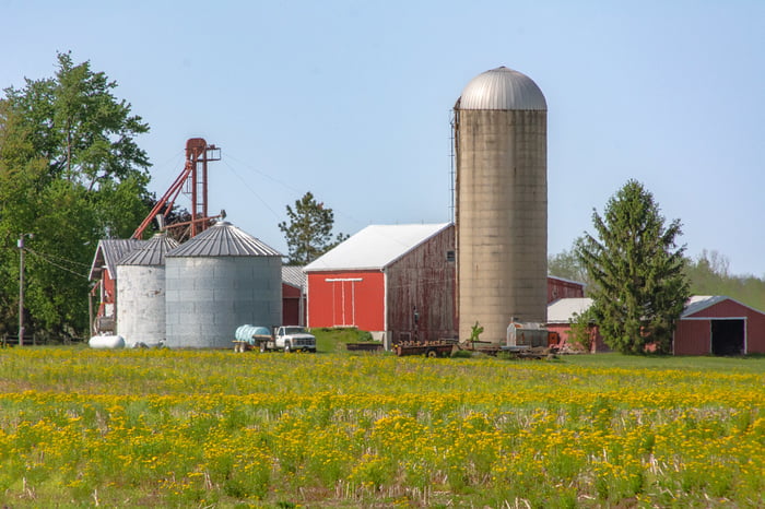Image for Busy Farmstead