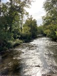 Image for A river walk, zipline, boating: What would you like to be offered at Whitewater Gorge Park?