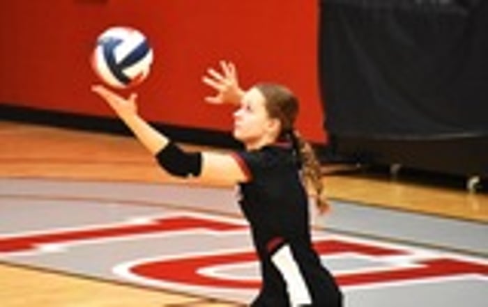 Image for Volleyball: Weekend Preview