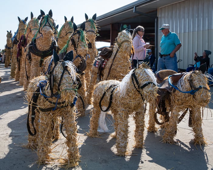 Image for Herd of Straw Horses