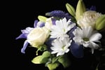 Image for Preplanned funerals bring clarity