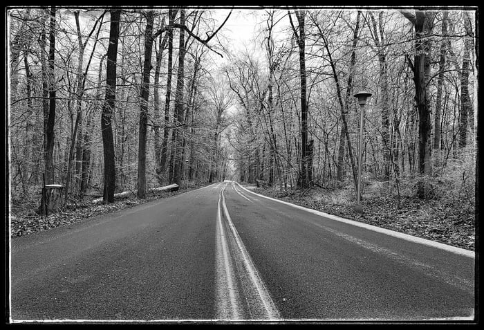 Image for Glistening Trees: Glen Miller Park