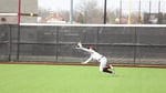Image for Softball swept by Hope