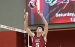 Image for Men's Volleyball: IU East 3, Cumberland 2