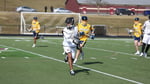 Image for MLAX downed at Hiram