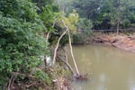Image for County extends disaster declaration 7 days