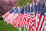 Image for Organizations team up to salute POW/MIA