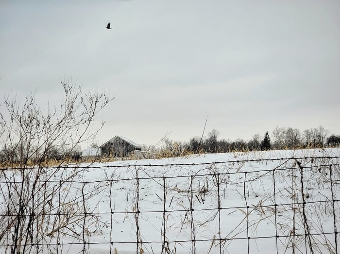 Image for Fields of Snow