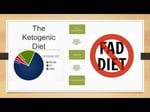 Image for The Importance of Carbohydrates