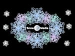 Image for Snow Ball Media