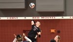 Image for Volleyball: WVU Tech at IU East Preview