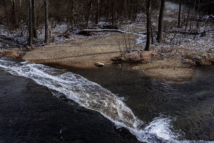 Image for Winter in Springwood Park