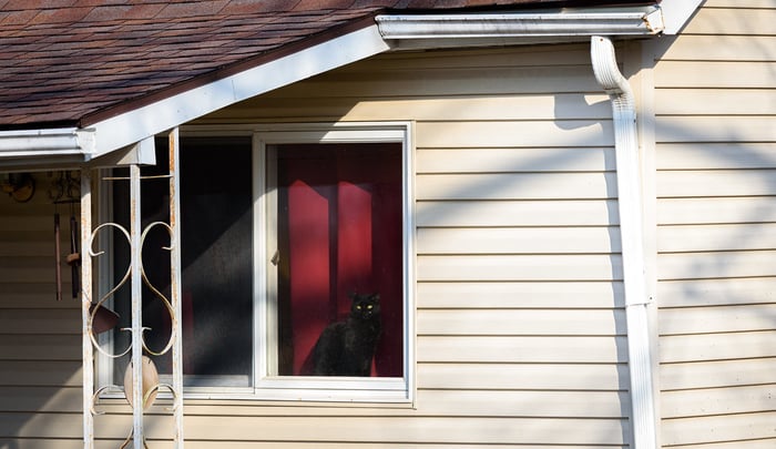 Image for Red Curtain Black Cat