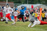 Image for Centerville tames Lions