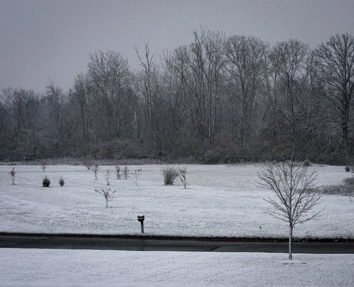 Image for First Snow