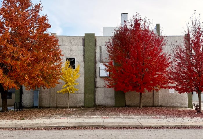 Image: Fall in Line