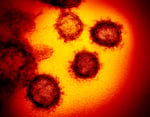Image for July concludes with 9th-most monthly Wayne County COVID-19 cases