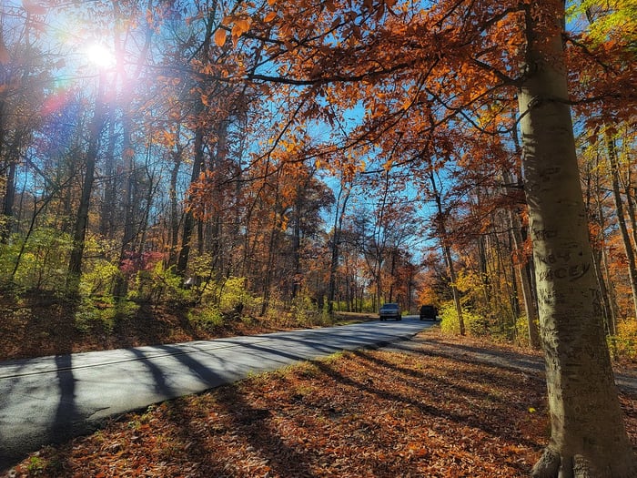 Image for Fall drives