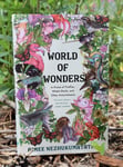 Image for Library, Cope partner for celebration of reading and nature